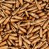 DKC 55-62 Grain FMJ Projectile 2